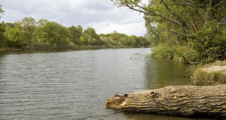 WWF стартира мащабна кампания в защита на европейските закони за реките