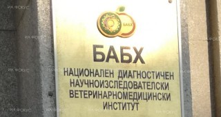 Задържанят служител на ОДБХ Шумен е отстранен от работа