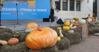 260-килограмова тиква е победителят на конкурса в Севлиево