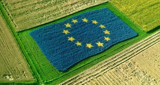 Френски и германски фермери имат обща позиция за аграрния бюджет на новата ОСП
