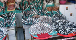 Да продават рибата си пред община Варна се заканиха търговци