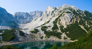 Информационна кампания в защита на Национален парк Пирин ще обиколи 9 града на България