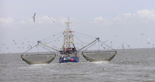 Европейската комисия предлага възможности за устойчив риболов в Черно море за 2019 г.
