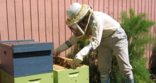 Пчеларите в Смолян не желаят да обявяват личните си данни по оградите на пчелините