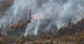 Пожари изпепелиха над 150 декара гори в Благоевградско