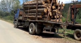 59 куб. м дърва за огрев задържаха горски инспектори от РДГ – Шумен