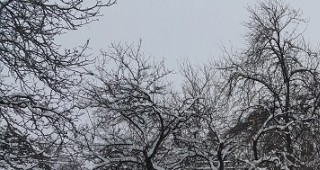 В Централна Северна България ще има по-обилни снеговалежи