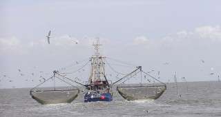 Нови риболовни квоти за Северно море и Атлантика