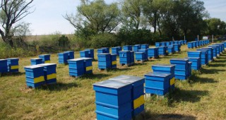 Приемът за финансовата 2019 г. по мерките от Национална програма по пчеларство започва на 7 януари