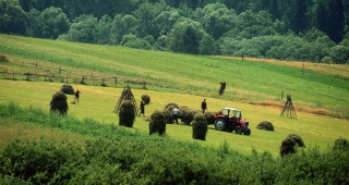 Френски фермери чакат с години парите си
