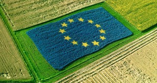 Експерти на ЕС търсят решение за селското стопанство в Общността