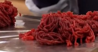 Във Франция започна делото за конското месо