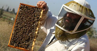 Пчеларите се обединиха срещу ГМО