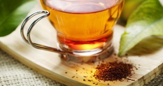 Набират мостри за ІІІ китайско международно изложение за чай