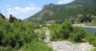 WWF, партньори и доброволци възстановиха ценни крайречни гори по Дунав и Марица