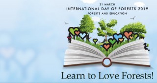 Международен ден на горите отбелязваме на 21 март