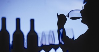 Увеличава се износа на вино за Русия