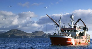 Един на всеки двама работници в риболовния сектор е жена