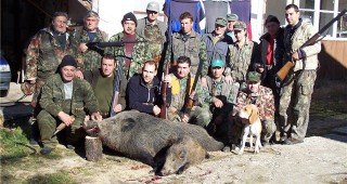 Карантината в Тутраканско е удължена заради чума по свинете