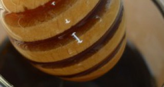 ЕК вписа странджанския манов мед като защитено наименование