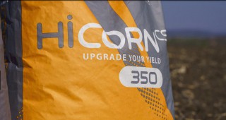 HI-Corn - новата концепция на Косад Семанс