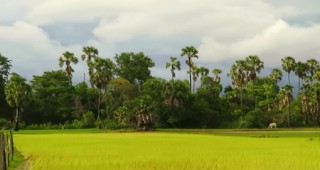 Камбоджа се оплаква от вносните мита в ЕС