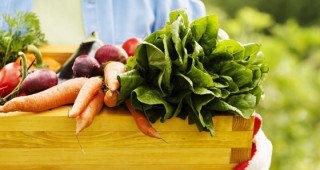 От 13 май започва приемът на документи за съхранение на плодове и зеленчуци за 2019 година