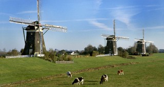Водещи холандски фирми търсят партньори на Агра 2010