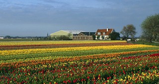В рамките на Агра се проведе семинар Земеделие по холандски