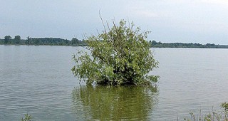 Продължава повишаването на нивото на река Дунав в целия български участък