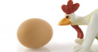 В град Мускрон предлагат по две кокошки на домакинство за да намалят домашните отпадъци