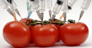 Над 80% от столичани се страхуват, че в България има риск от неконтролирано разпространяване на ГМО