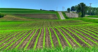 От МЗХ предлагат поправки при смяна на предназначението на земеделски земи
