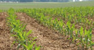 НАП-Бургас разкри недействителна продажба на земеделски земи