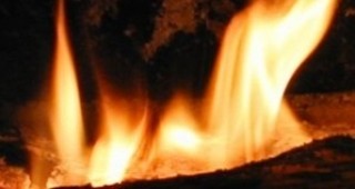 511 декара жито е унищожено при пожари в Пловдивско