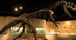 Палеонтолози откриха най-древния динозавър