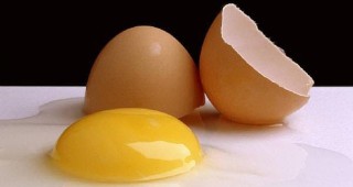 Масови проверки на яйца и агнешко месо по повод Великден започнаха инспекторите на ДВСК