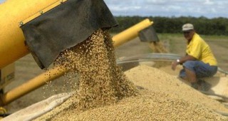Продуктите съдържащи соя и царевица, с най-голяма вероятност за ГМО