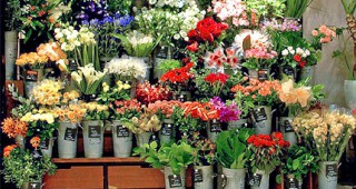 В Габрово откриват цветен базар