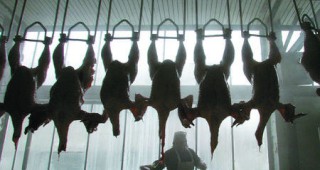 Стартира първия етап, в който износителите на птиче месо могат да кандидатстват за издаване на лицензи