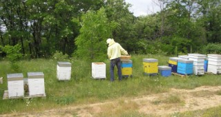 Подготвя се международен конгрес на пчеларите Апиславия