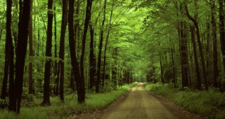 Природозащитна организация връчи петицията за опазване на горите на министър председателя Бойко Борисов