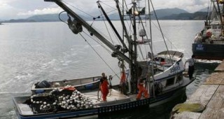 Страната ни остава встрани от европейската политика по отношение на рибарството
