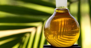 Биологично палмово масло от Гана