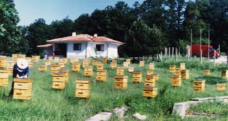 Договори за 1.2 млн. лв. са сключени по програмата за пчеларство към момента