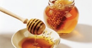 Първи световен симпозиум по мановия мед в Царево
