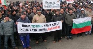 Тютюнопроизводителите от Североизточна България подготвят протест
