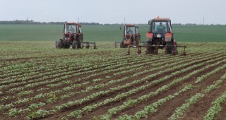 Намаляват заетите в селското стопанство