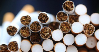 Булгартабак холдинг договори бразилски и аржентински тютюни от новата реколта