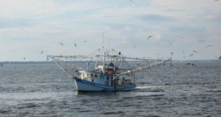 В Перу създават обсерватория за регулиране на риболовната промишленост